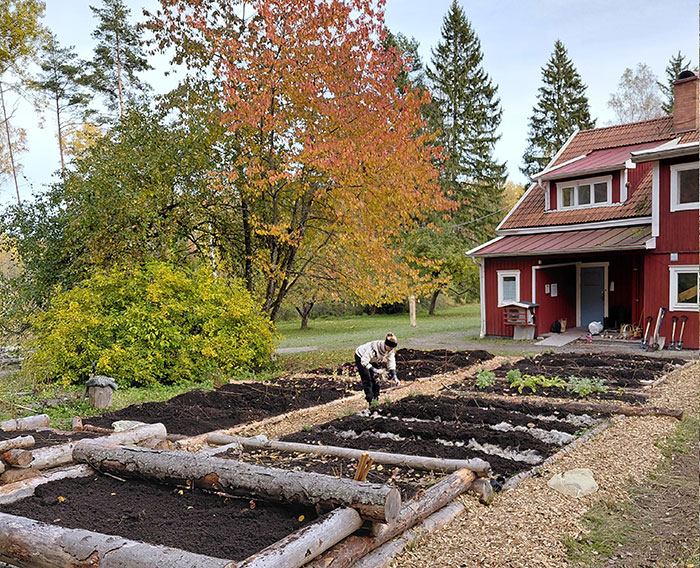 Vandringsstig med gröna träd längs sidorna.