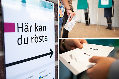Beskriv bilden för någon som inte kan se. Informera om det relevanta och informationsbärande.