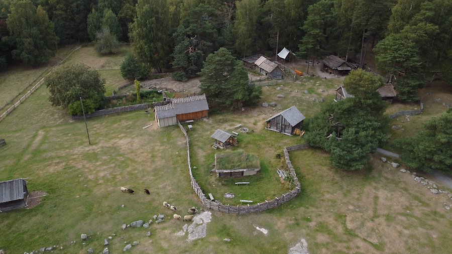 Flygbild över Gunnes gård med byggnader som påminner om hur det såg ut på Vikingatiden.